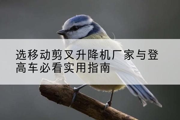 夏河电动升降机厂家-选移动剪叉升降机厂家与登高车必看实用指南