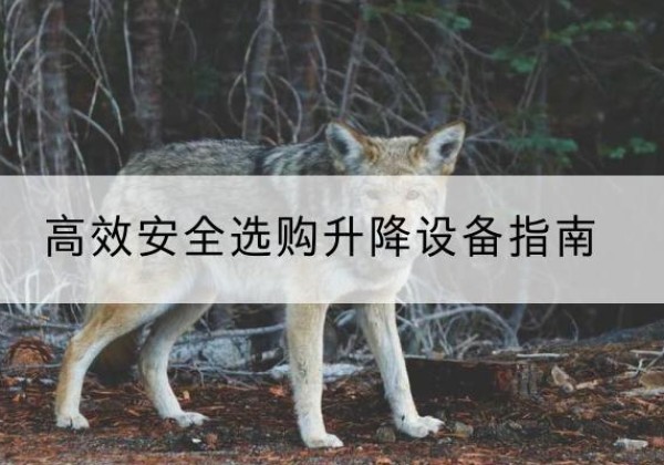 夏河升降货梯厂家推荐-*安全选购升降设备指南